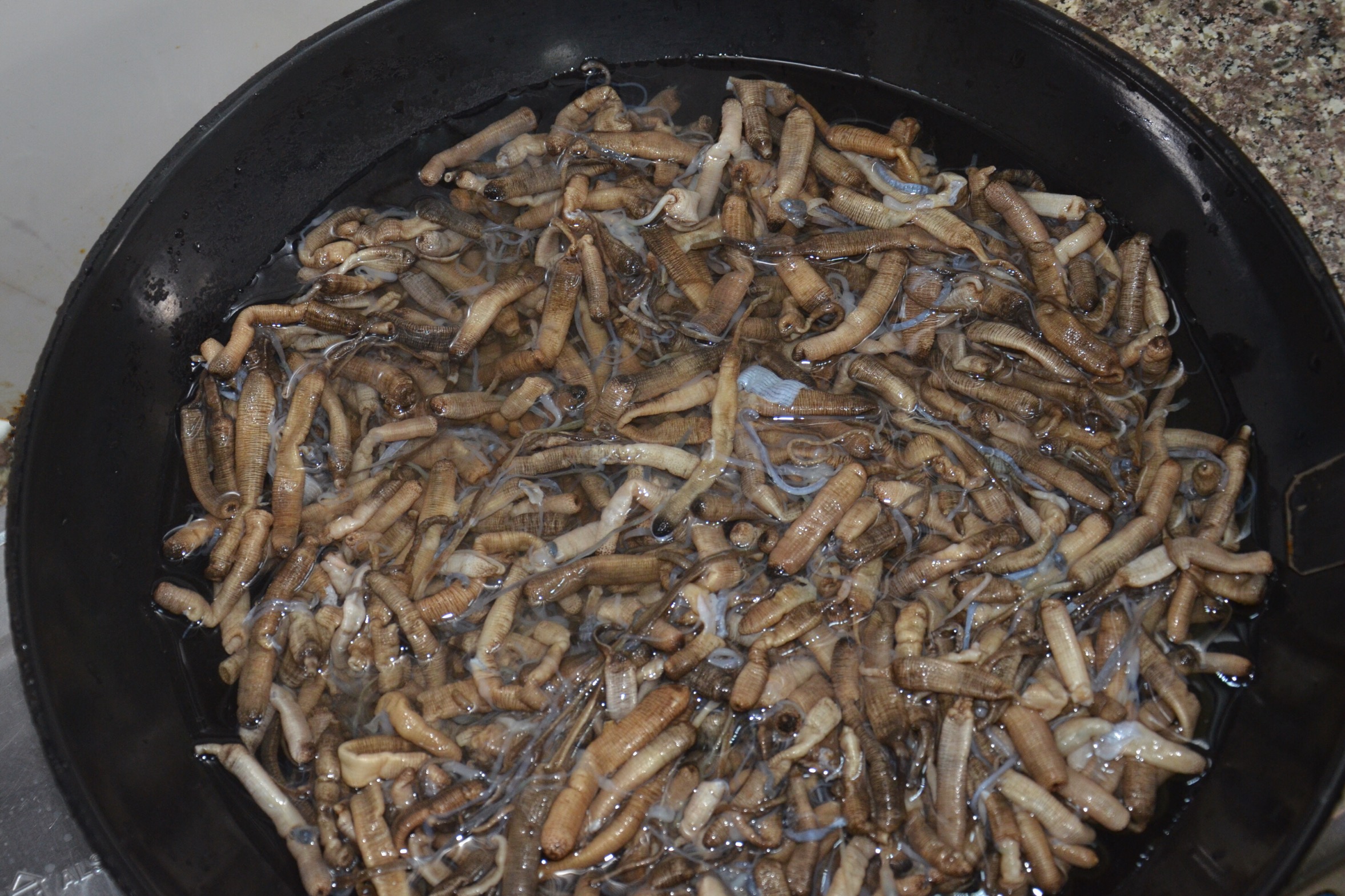 闽南土笋冻制作技艺