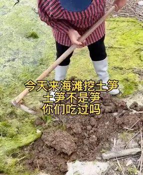 看着福建土笋冻,嘴巴就是不敢动