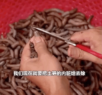 看着福建土笋冻,嘴巴就是不敢动