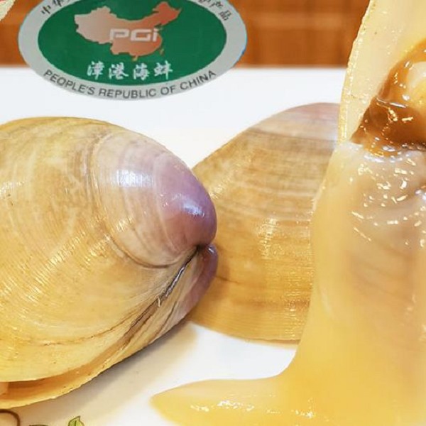 漳港海蚌
