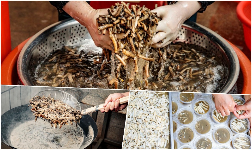 福建美食｜鲜嫩弹牙的土笋冻（土筍冻），内里原来不是「筍」？