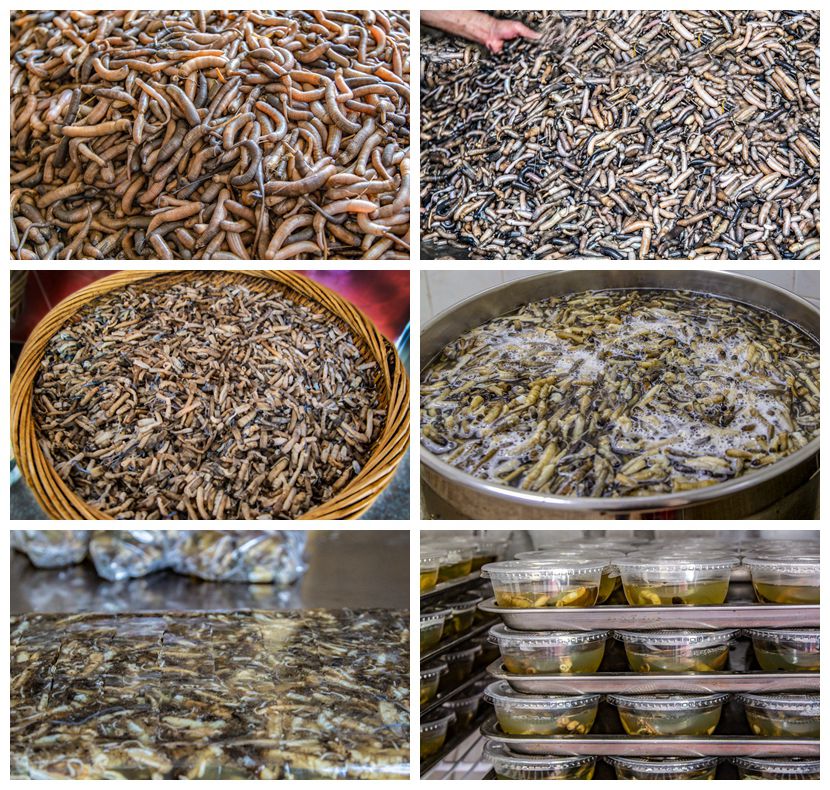 闽南土笋冻制作技艺