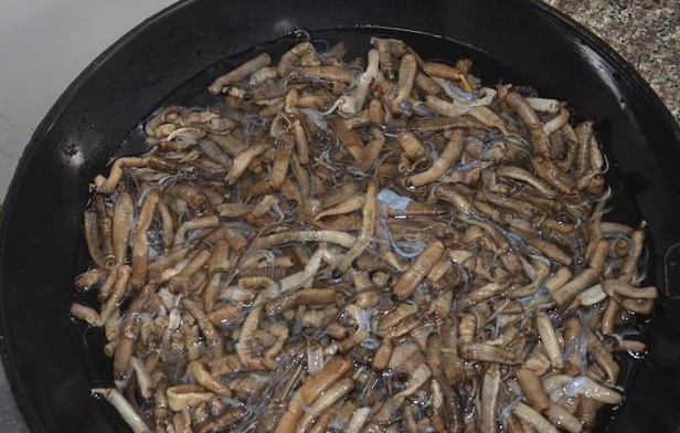 土笋冻,你来自哪里?