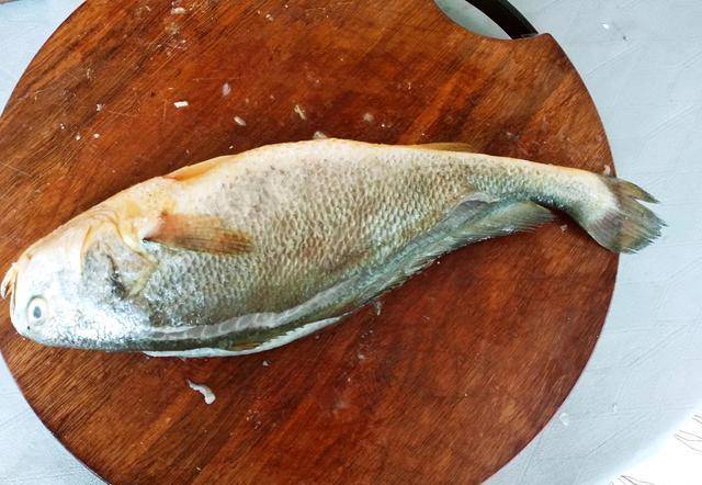 同是黄花鱼，大黄花鱼跟小黄鱼有何区别？弄懂以后别再买错了