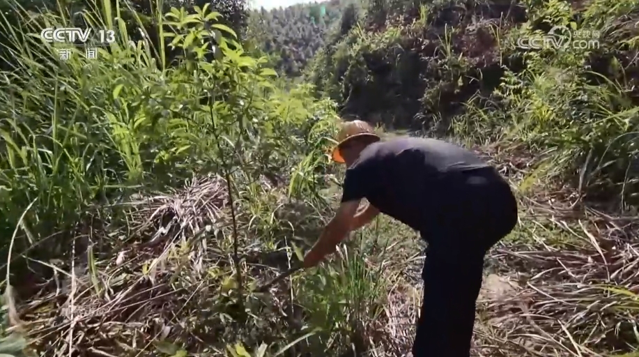 守护好&ldquo;无价之宝&rdquo;