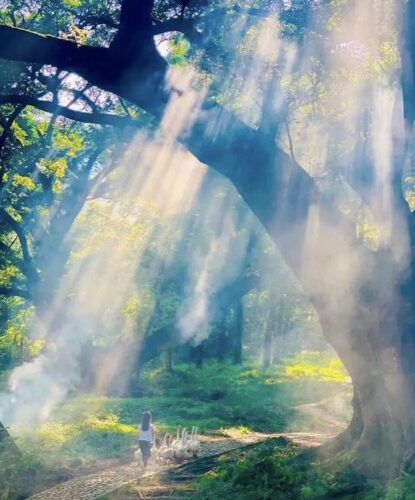 中国最惊艳的15座县城之—八闽·霞浦