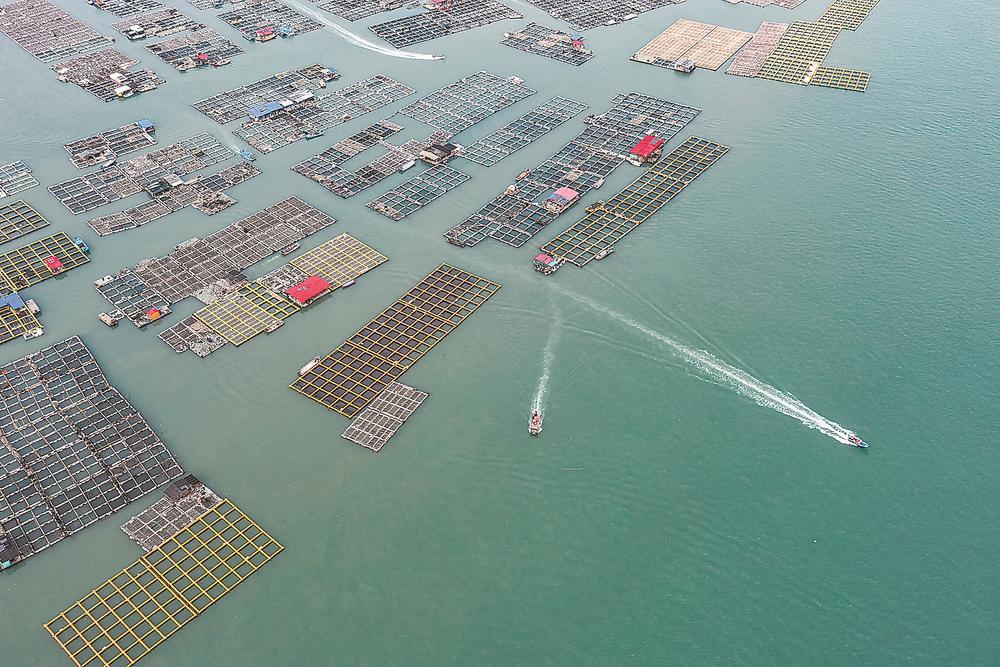 石斑上岸与巴浪翻身