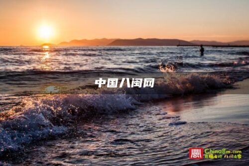 中国八闽网