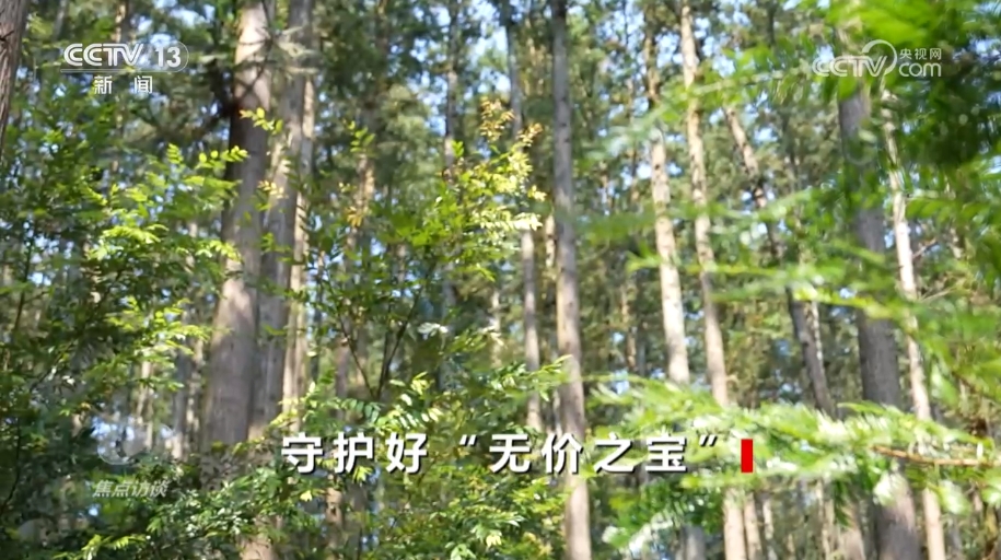 守护好&ldquo;无价之宝&rdquo;