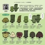 海带营养价值高 女性经期吃海带有哪些好处？