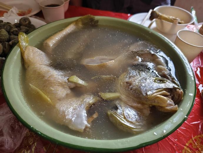 突访神秘黄花鱼 它会“呱呱”叫!