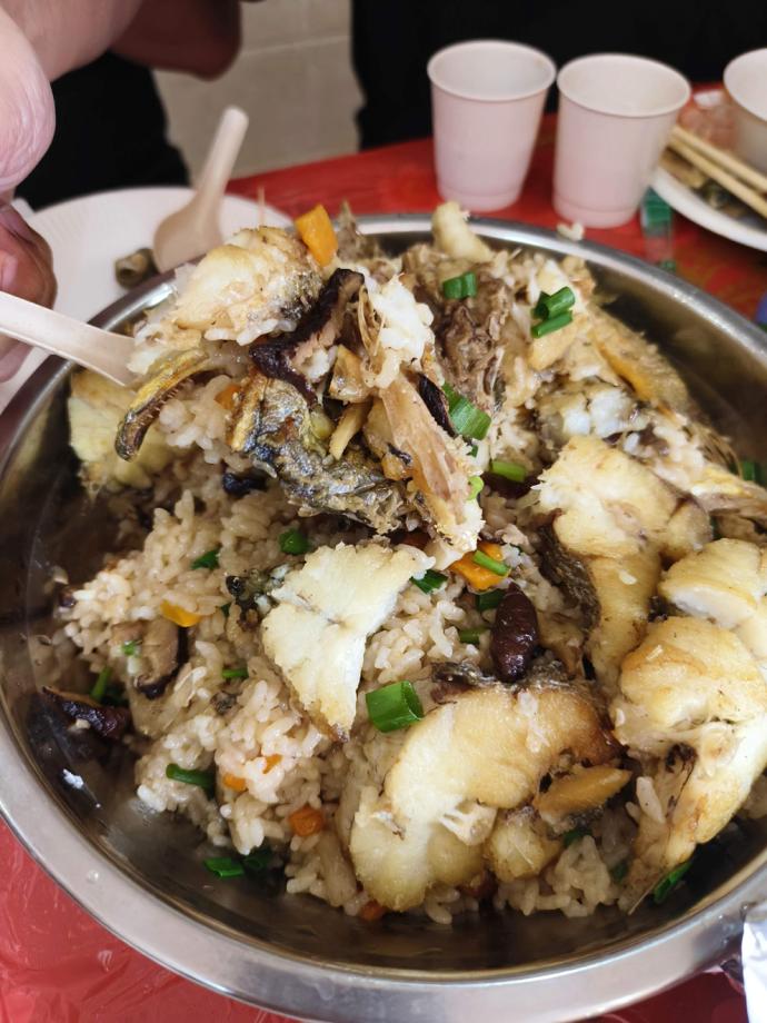 突访神秘黄花鱼 它会“呱呱”叫!