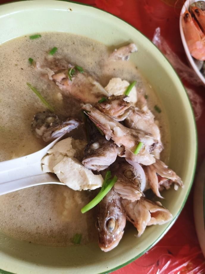 突访神秘黄花鱼 它会“呱呱”叫!