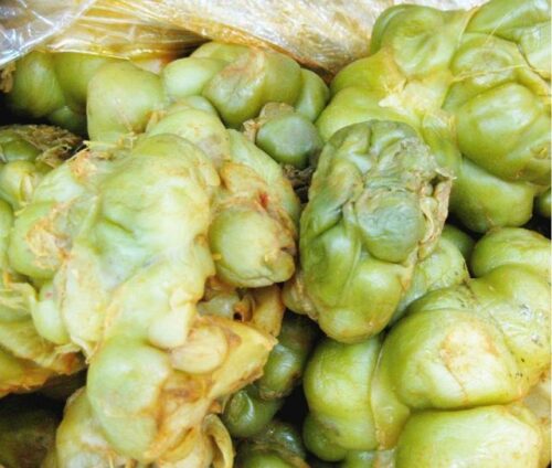 霞浦十大特产-霞浦榨菜