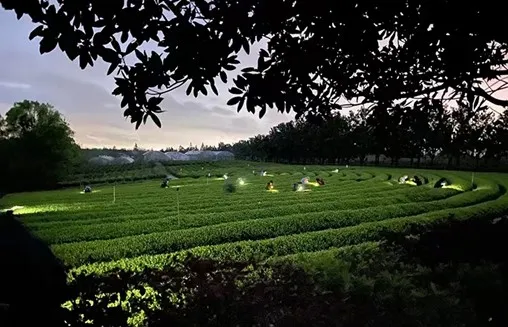 寻迹建筑文化,探寻八闽文化