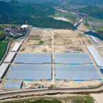 福建泽汇渔业成功出口活鳗，迈向国际高端餐饮市场