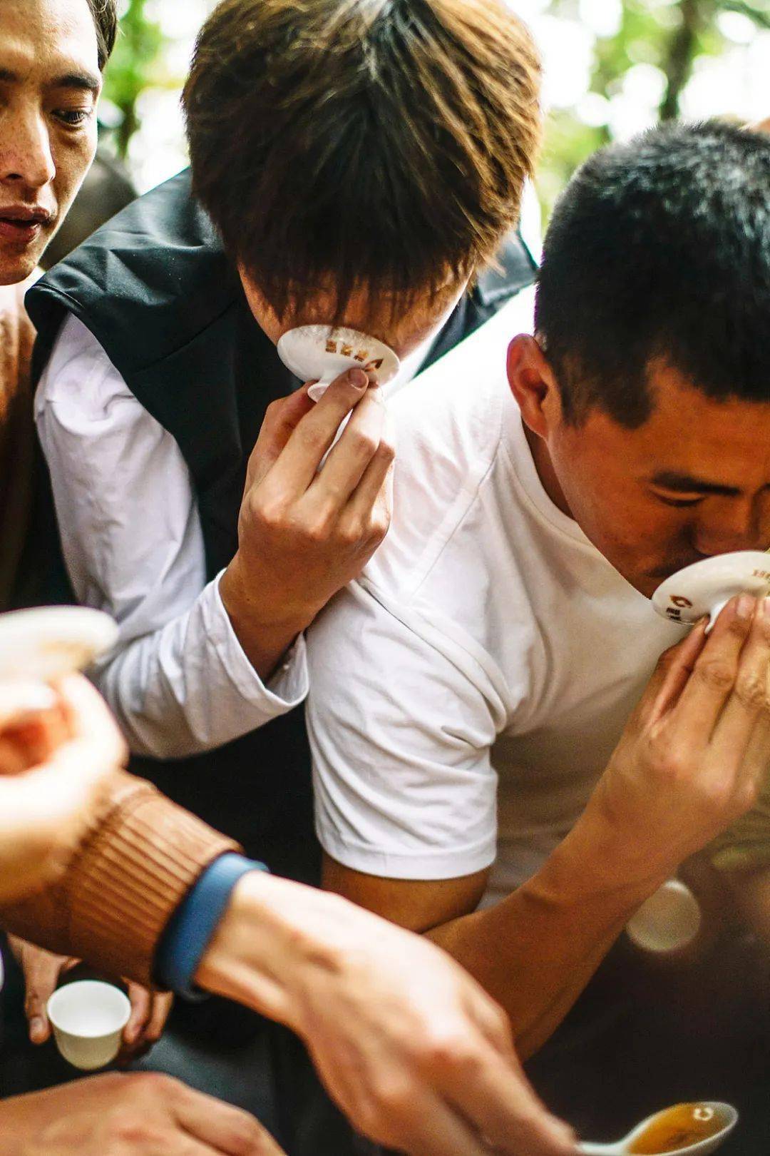 中国茶叶第一大省,凭什么是它?