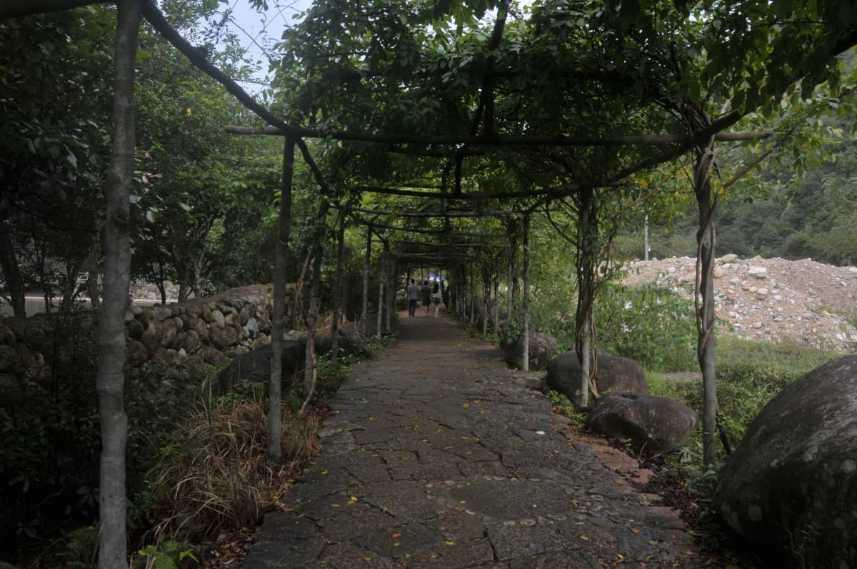 南平武夷山市大安村