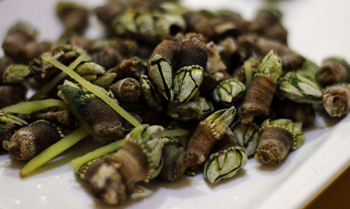 我的家乡-八闽风采