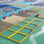 农发行福建省分行：赋能“耕山牧海”守护八闽粮安