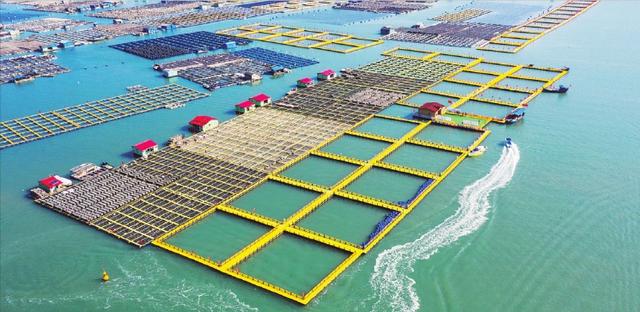 农发行福建省分行:赋能“耕山牧海”守护八闽粮安