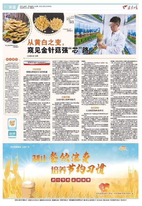 党报记者八闽调研行丨从黄白之变，窥见金针菇强“芯”路