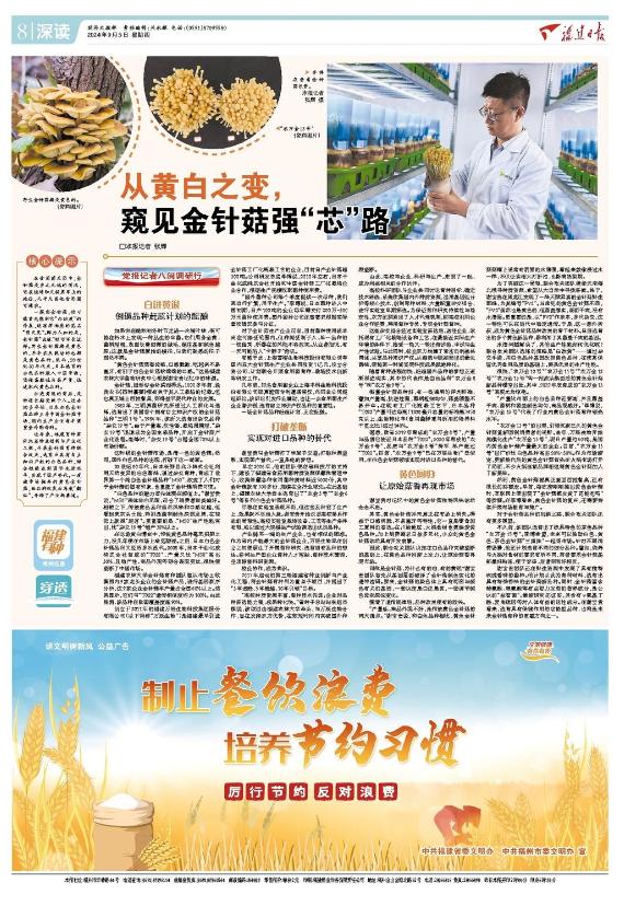 党报记者八闽调研行丨从黄白之变,窥见金针菇强“芯”路