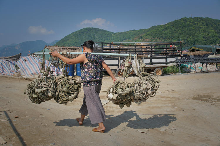 八闽海岸线的追岛之旅 美在福建霞浦之三沙的日出与劳作