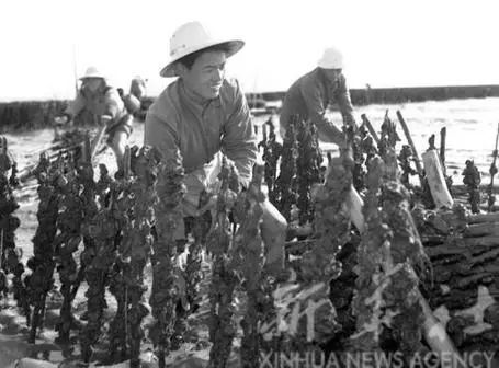 太珍贵!霞浦60至90年代难得一见的老照片!