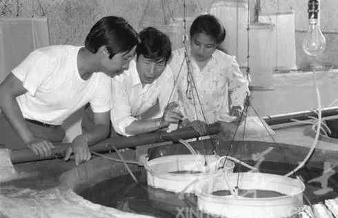 太珍贵!霞浦60至90年代难得一见的老照片!