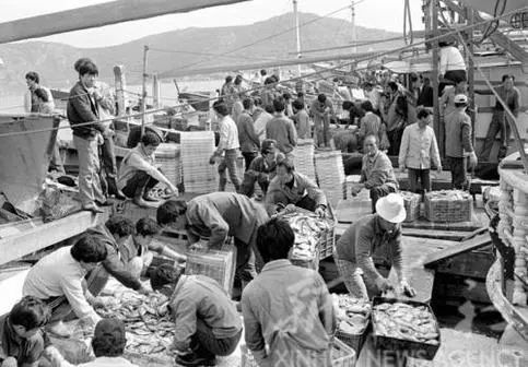 太珍贵!霞浦60至90年代难得一见的老照片!