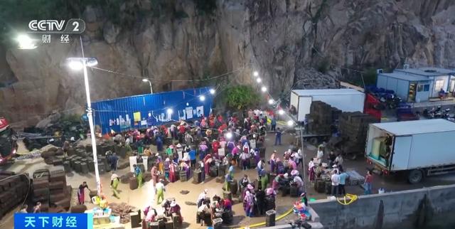 产业化、规模化!福建霞浦升级“软排”养殖,1.5万亩鲍鱼迎丰收