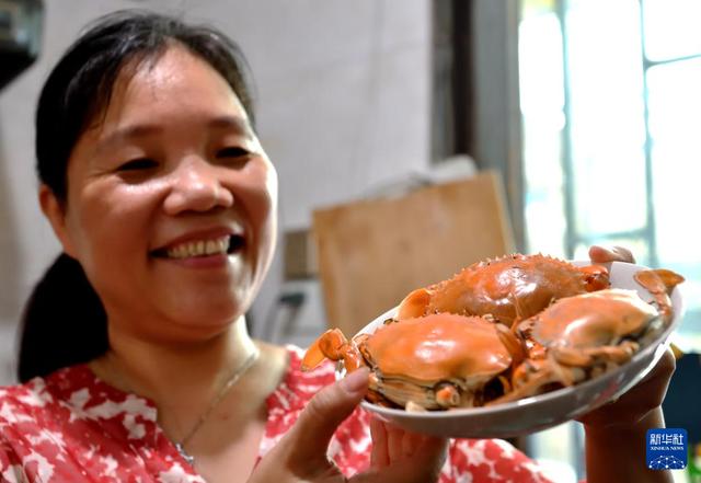 福建海洋渔业的现代化转型与发展全景