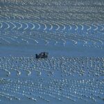 福建海洋渔业的现代化转型与发展全景