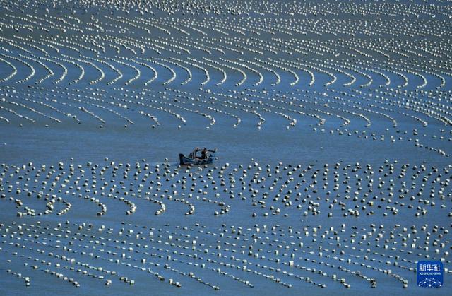 福建海洋渔业的现代化转型与发展全景