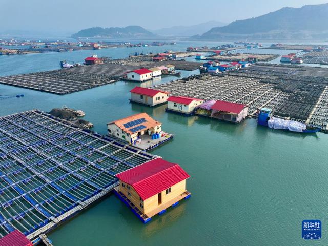 福建海洋渔业的现代化转型与发展全景