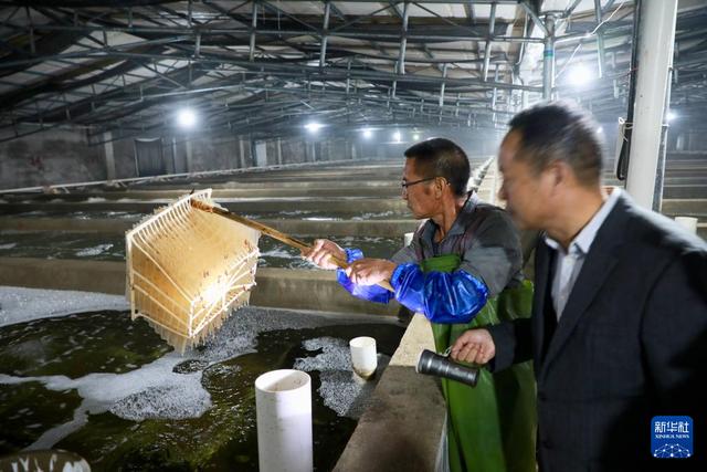 福建海洋渔业的现代化转型与发展全景