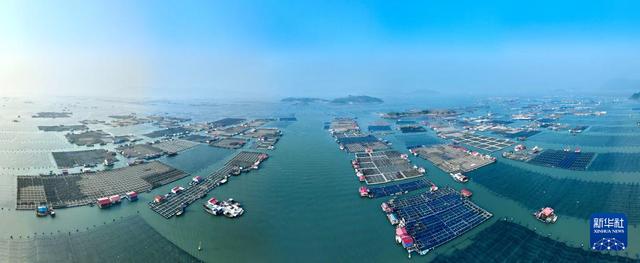 福建海洋渔业的现代化转型与发展全景