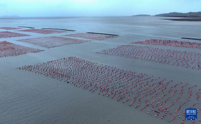 福建海洋渔业的现代化转型与发展全景