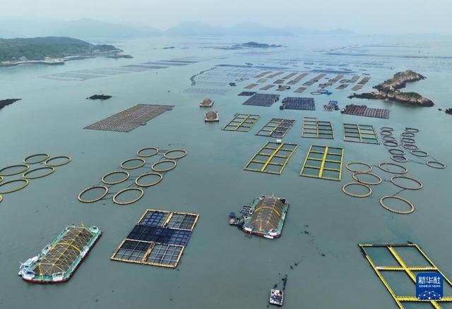 福建海洋渔业的现代化转型与发展全景