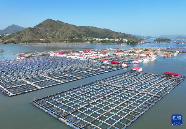 福建海洋渔业的现代化转型与发展全景