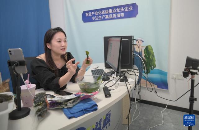 福建海洋渔业的现代化转型与发展全景