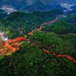 “2022美丽中国·深呼吸小城”名单，福建8地入围