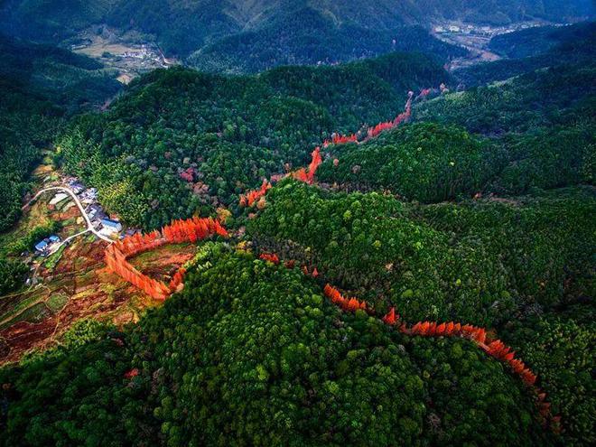 “2022美丽中国·深呼吸小城”名单,福建8地入围