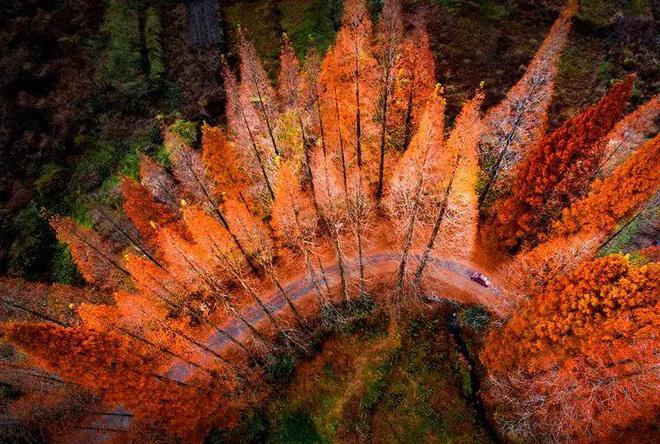 “2022美丽中国·深呼吸小城”名单，福建8地入围