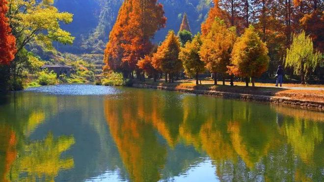 “2022美丽中国·深呼吸小城”名单，福建8地入围