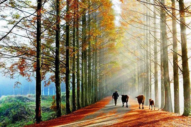 “2022美丽中国·深呼吸小城”名单，福建8地入围