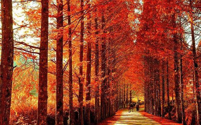 “2022美丽中国·深呼吸小城”名单，福建8地入围