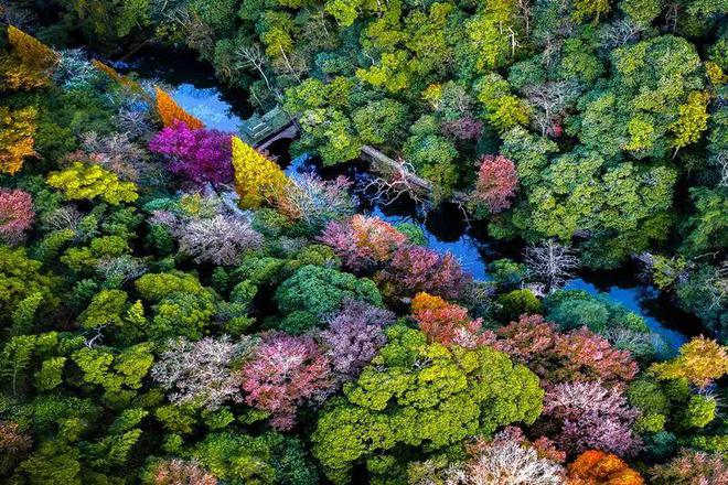 “2022美丽中国·深呼吸小城”名单，福建8地入围