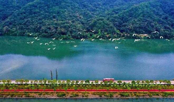 “2022美丽中国·深呼吸小城”名单，福建8地入围